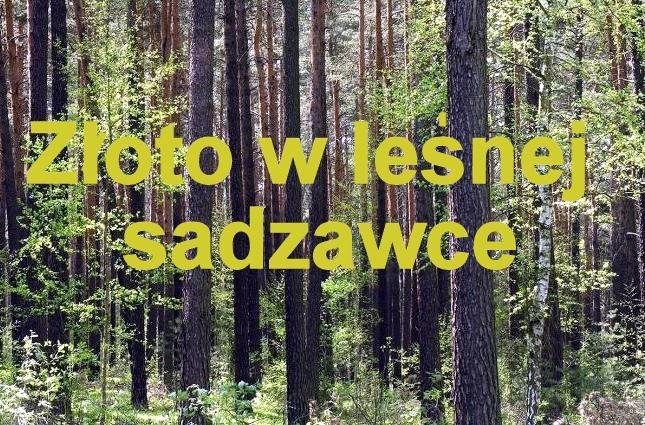 Szukajcie a może znajdziecie